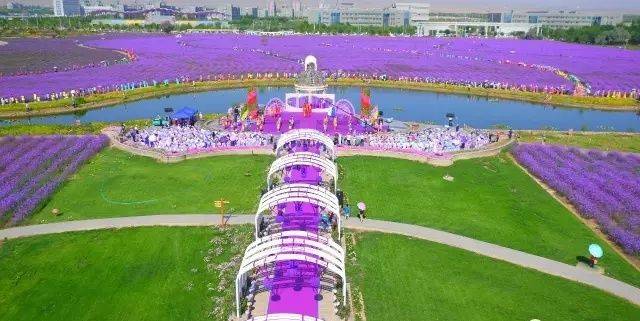 金昌国际马拉松报名_金昌国际半程马拉松赛_金州马拉松