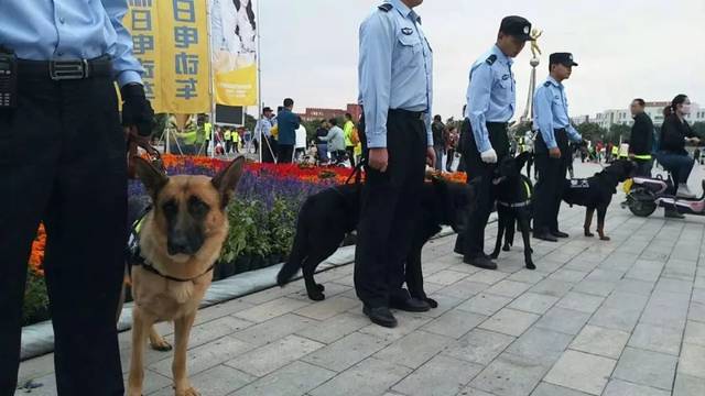 金昌国际马拉松报名_金昌国际半程马拉松赛_金昌马拉松官网