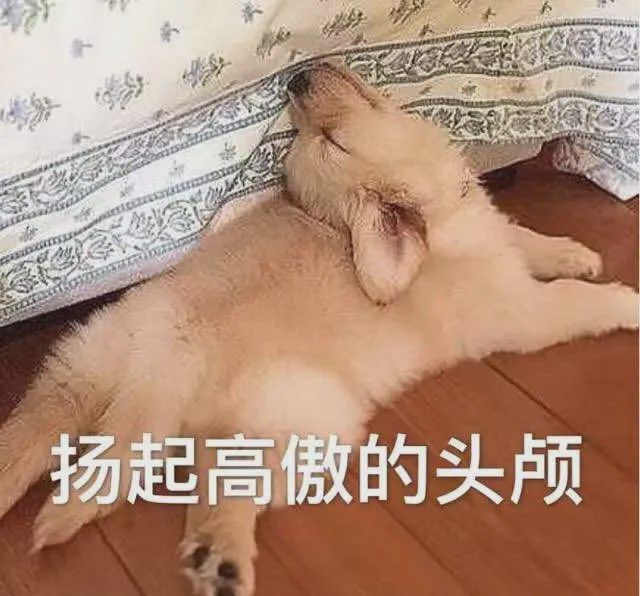 瑜伽服女明星_女明星健身裤瑜伽裤_明星瑜伽裤外穿如何搭配