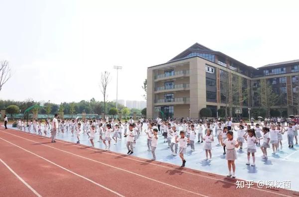 营养餐学校美篇_学校营养餐宣传报道_学校营养餐稿件