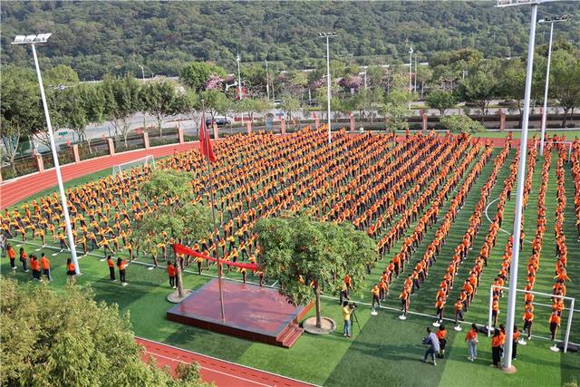 广播体操小学_体操广播教材小学生版_广播体操小学生教材