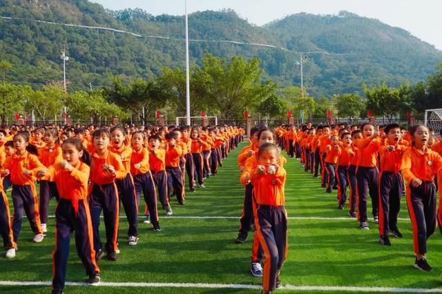 体操广播教材小学生版_广播体操小学_广播体操小学生教材