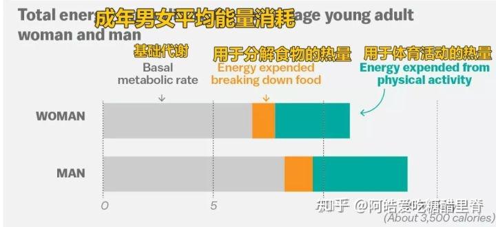 氧运动有哪些项目_运动氧气_笑也是有氧运动