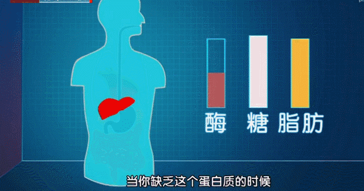 瘦大腿的照片_瘦大腿最有效的健身操_明星健身女瘦大腿图片