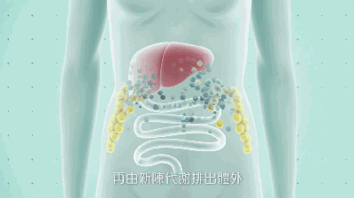 明星健身女瘦大腿图片_瘦大腿的照片_瘦大腿最有效的健身操