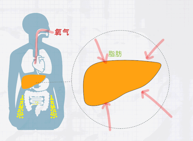 瘦大腿最有效的健身操_明星健身女瘦大腿图片_瘦大腿的照片