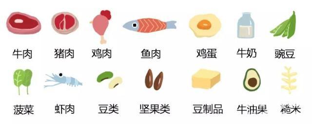 蛋白质健身一天吃多少_锻炼吃蛋白质_健身每天吃多少蛋白质