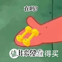 2023年家用健身器材推荐|| 一台小飞鸟助你全身塑形，气质提升！内附：FANATICS疯拿铁小飞鸟综合训练器